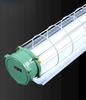 Handon 1.2m Explosion-Proof Dual Tube LED Light