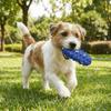 Flexible Dog Chew Toy Bite Resistant Dog Teething Stick Funny Dog Toothbrush Stick  Home Play