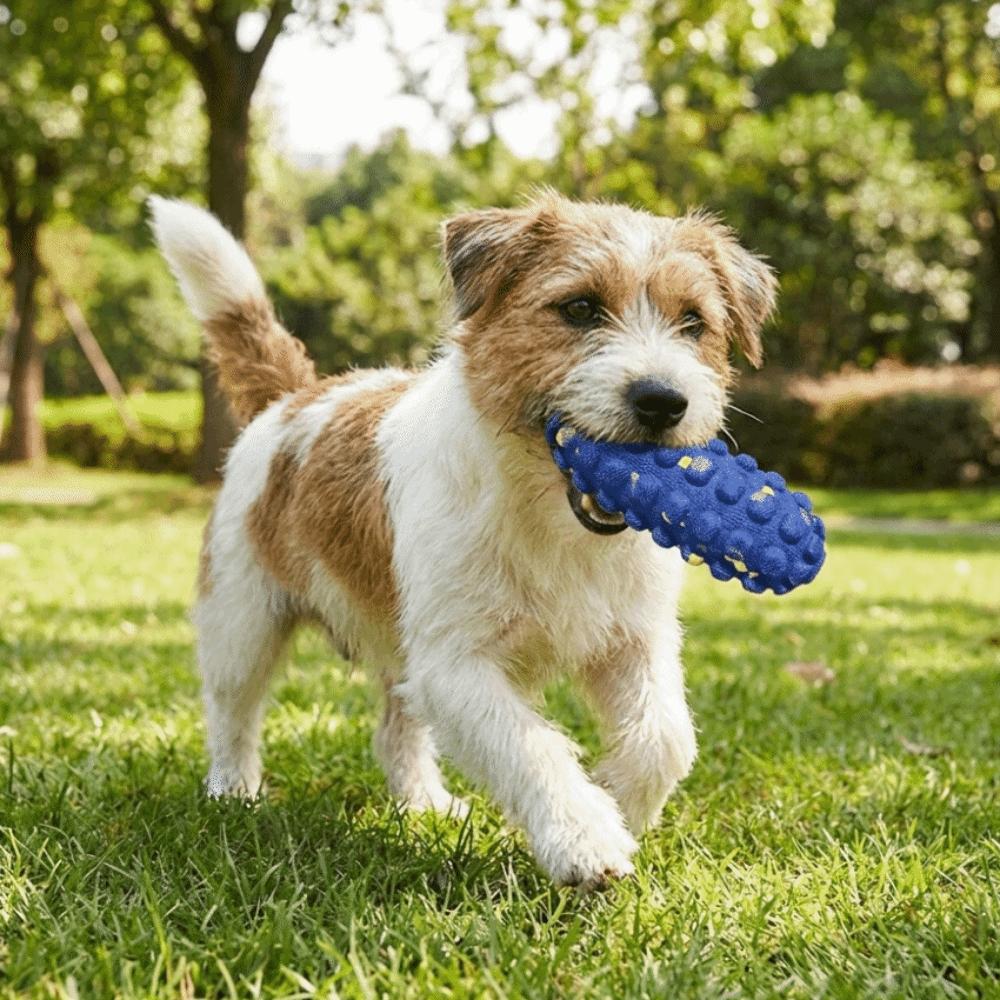 Flexible Dog Chew Toy Bite Resistant Dog Teething Stick Funny Dog Toothbrush Stick Home Play
