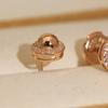 vacuum plated platinum inlaid with sparkling diamonds earring hot selling, highest version on the market  Non-allergic
