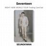 Seventeen RIGHT HERE WORLD TOUR Trading Card Set Official Photocard