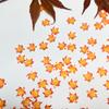 [ Resin Maple Leaves] Resin Two-Color Maple Leaves | DIY Materials, Handmade Nail Art, Jewelry Making, Autumn Accessories
