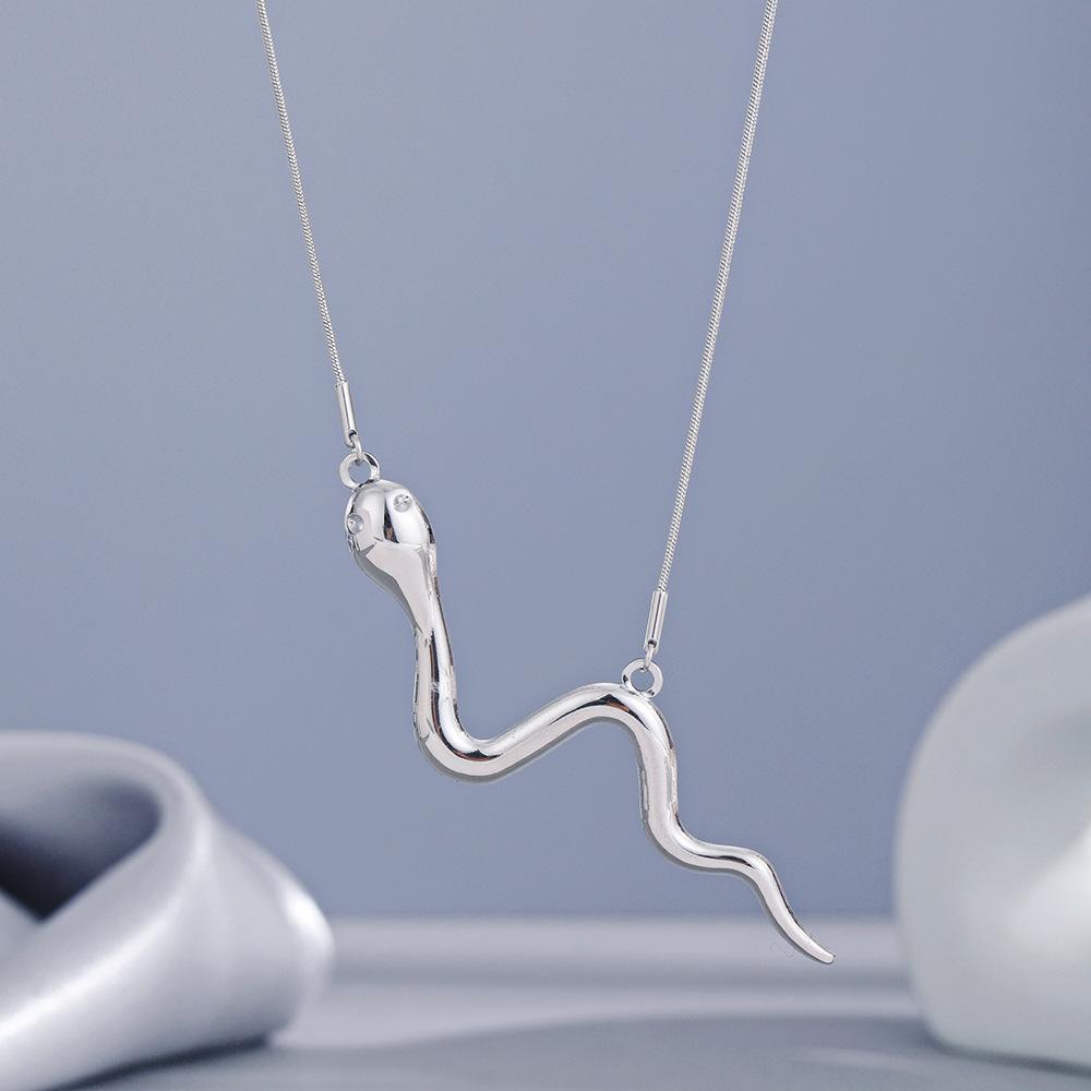 Niche design snake necklace, European and American ins exaggerated high-end snake stainless steel necklace