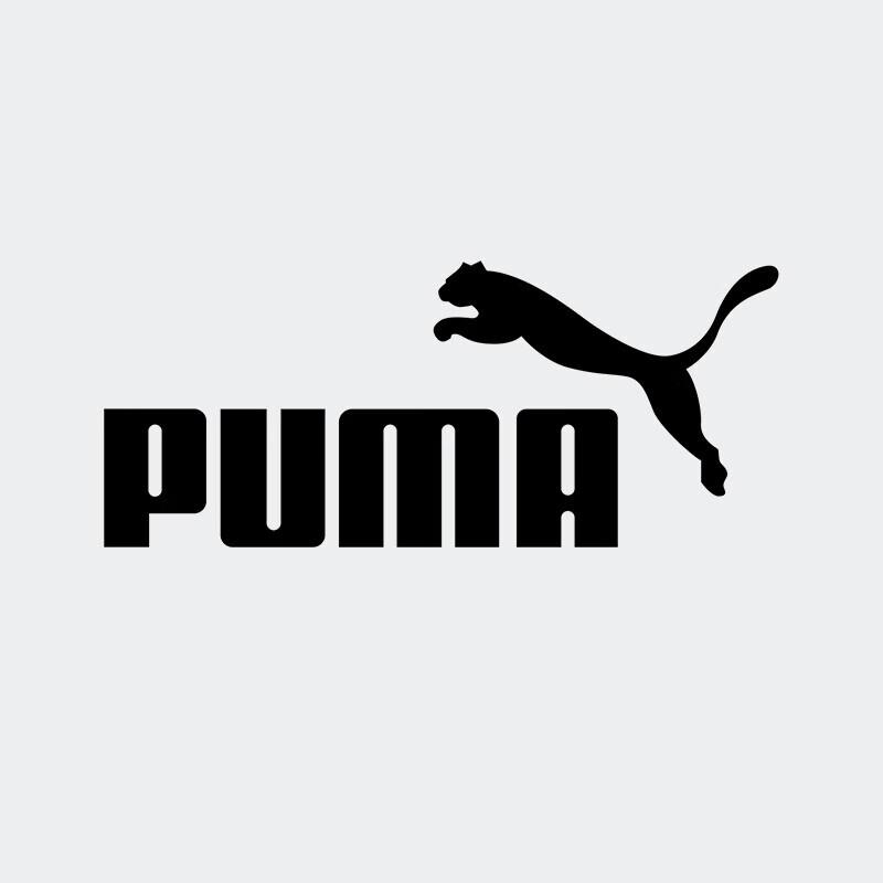 

Чоловіча толстовка PUMA з капюшоном на флісовій підкладці XL