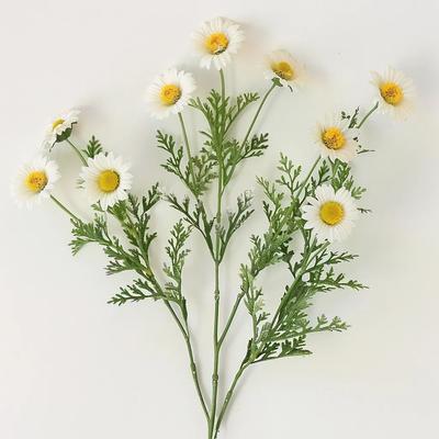 2500 German Chamomile Seeds