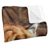 JQ Licensing Jlo Silky Tiger Supersoft Blanket