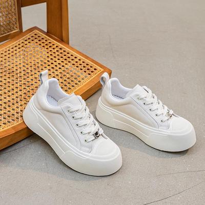 2025 Women's Platform Skate Shoes: Trendy Street Style with Soft Sole & Upper