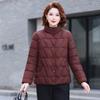 New Cotton-padded Jackets In Autumn and Winter Thickened Short Down Cotton-padded Jackets Winter Jackets Cold-proof