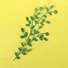 Branch Leaves Cutting Dies DIY Scrapbook Emboss Paper Cards Craft Stencil Mold