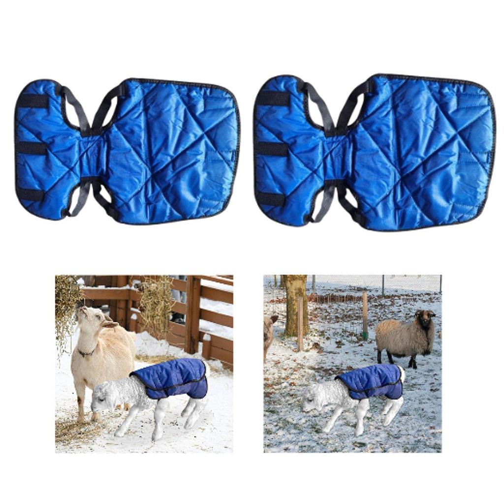 Calf Blanket Comfortable Winter Coat Practical Animal Clothes for Adjustable for Belly Protection