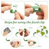 200Pcs Invisible Plant Climbing Wall Fixture Clips Rattan Vine Bracket Self-adhesive Plant Fixing Hook Buckle Leaf Holder Garden