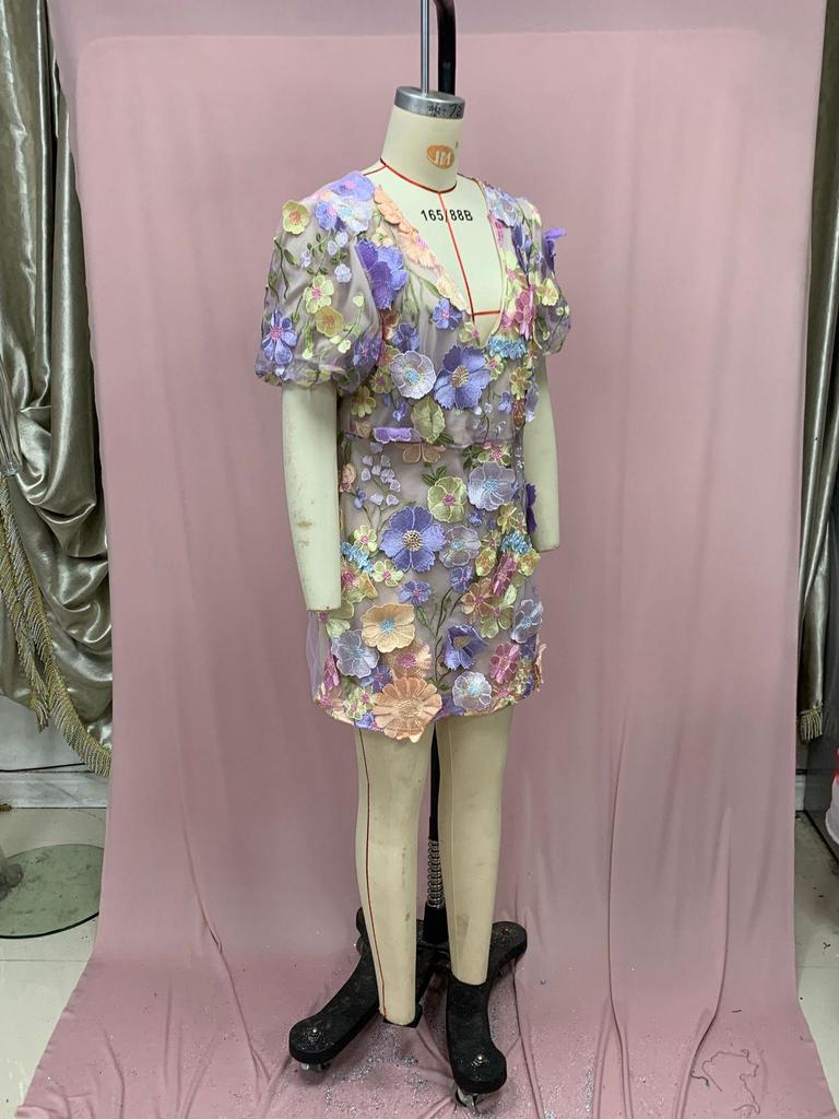 V-Neck Lantern Sleeve Dress with 3D Floral Embroidery