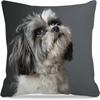 1 Stück Hundeliebhaber Shih Tzu Dekorative Kissenhülle, 2D-Druck Polyester Kissenbezug für Sofa Bett Auto Büro Heimdekoration