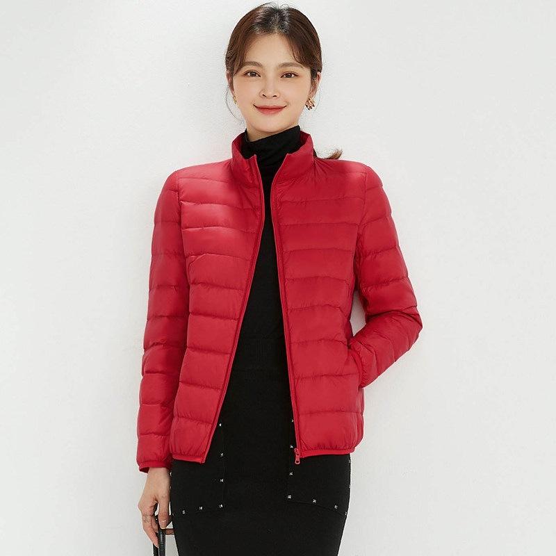 Simple and fashionable down jacket liner women's stand-up collar thin down jacket slim short down jacket duck down