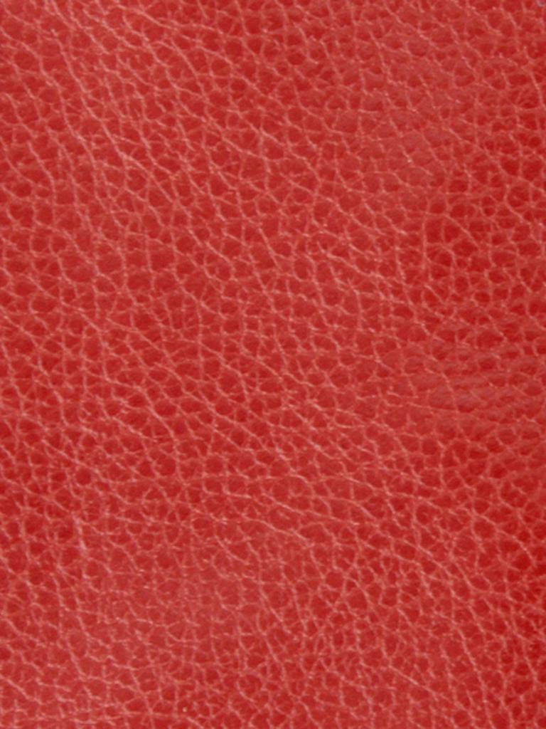 Wallet F Red Brown [Il Bisonte] 54_1_412228
