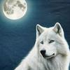 3d Wolf Print Men's T-Shirt Summer Breath Short Sleeve Tees For Men Retro T-Shirt Street Trend Man Clothes Oversized Sport Shirt