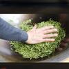Genuine Chinese Long Jing Green Tea Loose Leaf Dragon Well Gift Premium