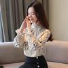 Chiffon Shirt Blouse Design Sense Niche French Blouse Western Style Long-sleeved Temperament Small Shirt Spring, Summer and Autumn