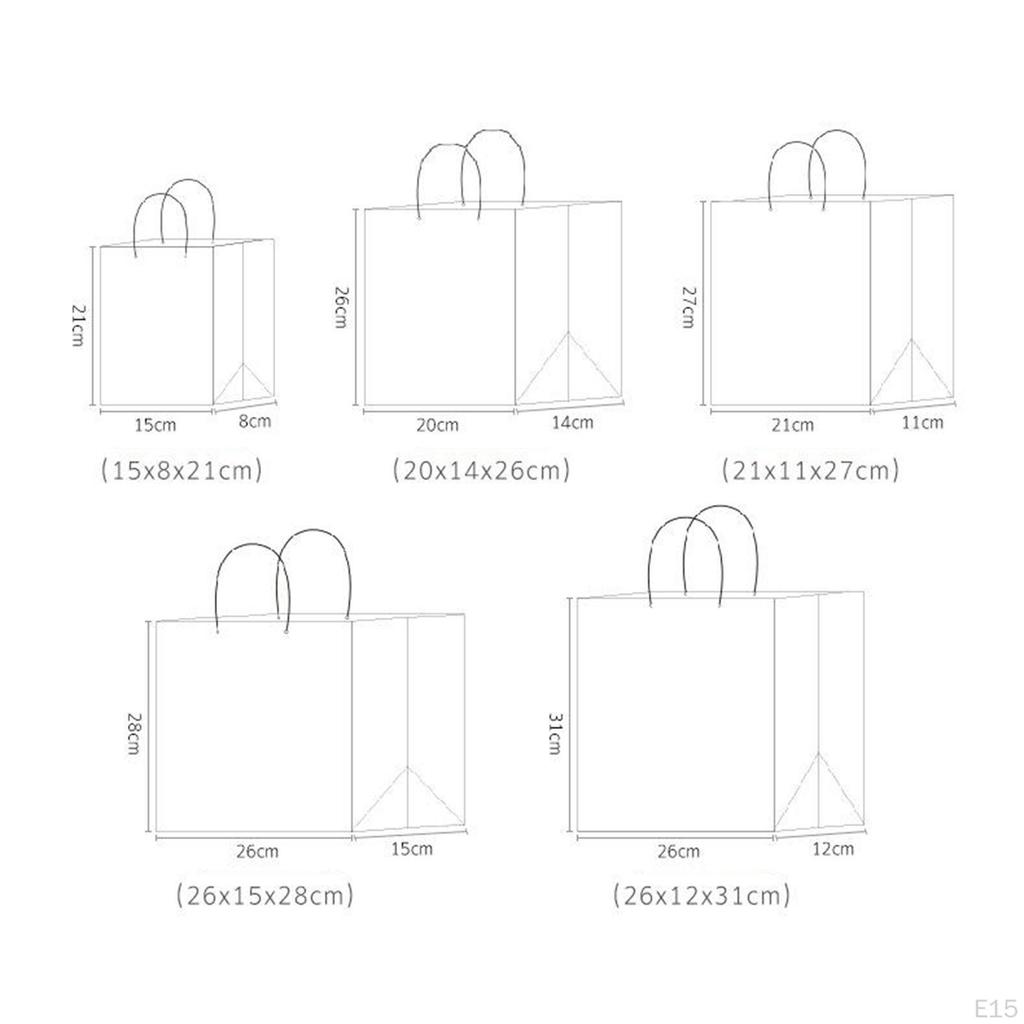Gift Bag Party Present Goody Favor Bags Business Retail