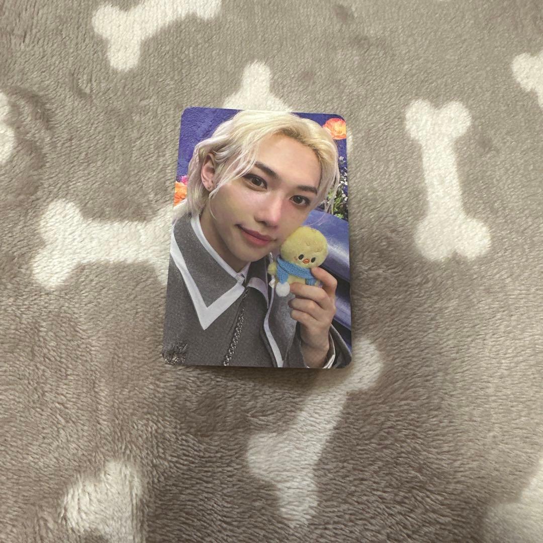 

[USED] Straykids Magic School Pop-up Lakidorophiliac
