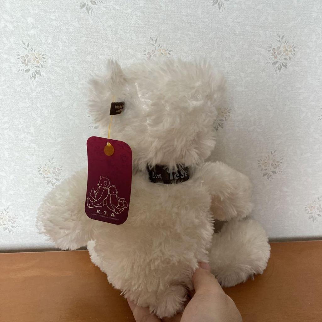 [USED] Teddy bears at Lotte World in South Korea to be disposed of on June 30th