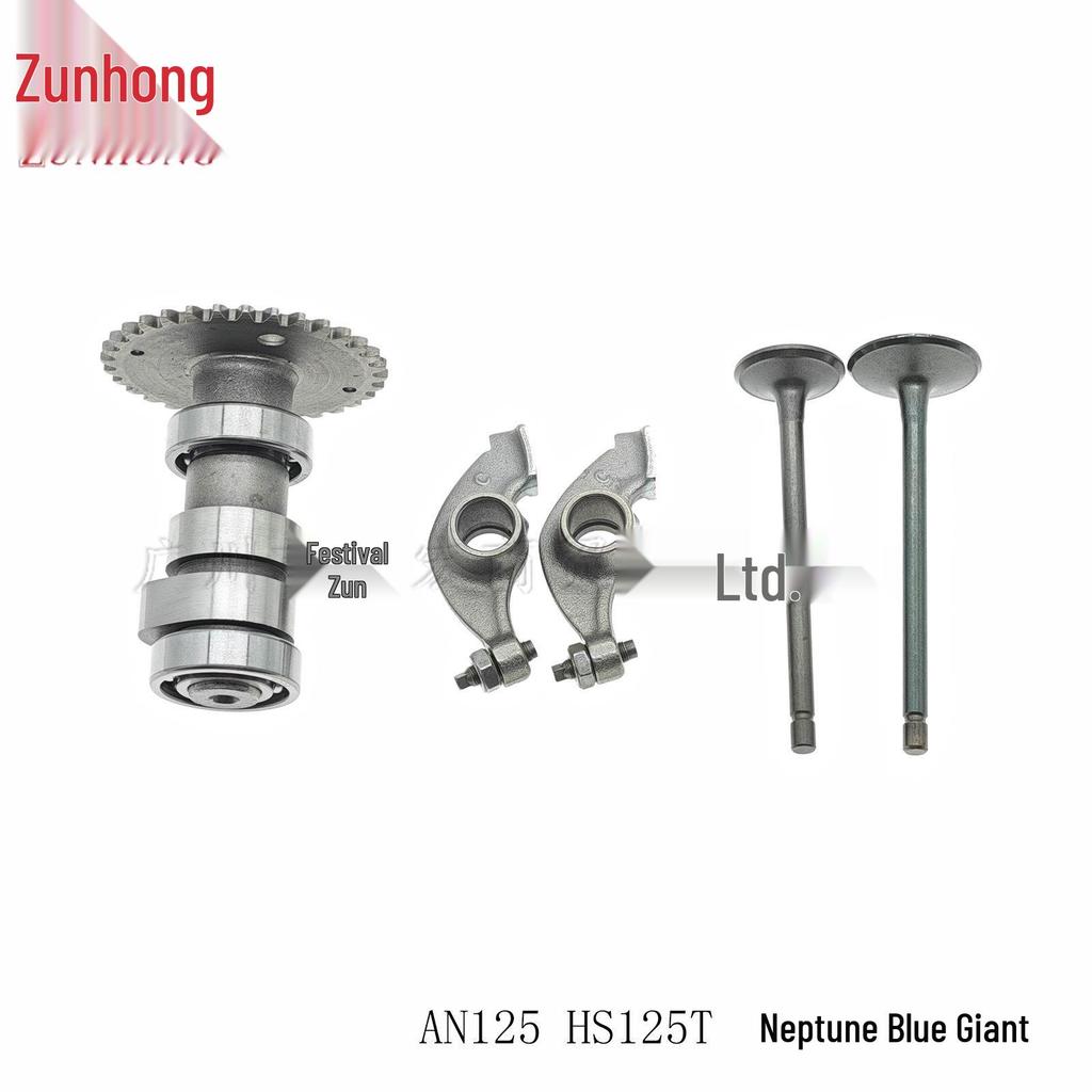 Kit Camme Bilancieri Valvole Moto AN125 HS125T Blu Nettuno