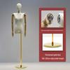 Korean Women's Clothing Store Mannequin: Pendant Arm Flat Shoulder Display Stand