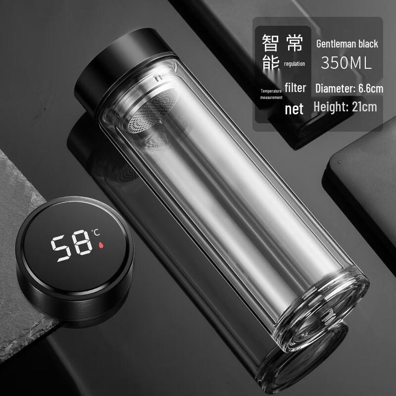 Heat-Resistant Double Wall Glass Tea Infuser Bottle with Temperature Display 350ML