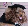 Dog clothes turned funny pet supplies cross-border hat cape set pet halloween costume