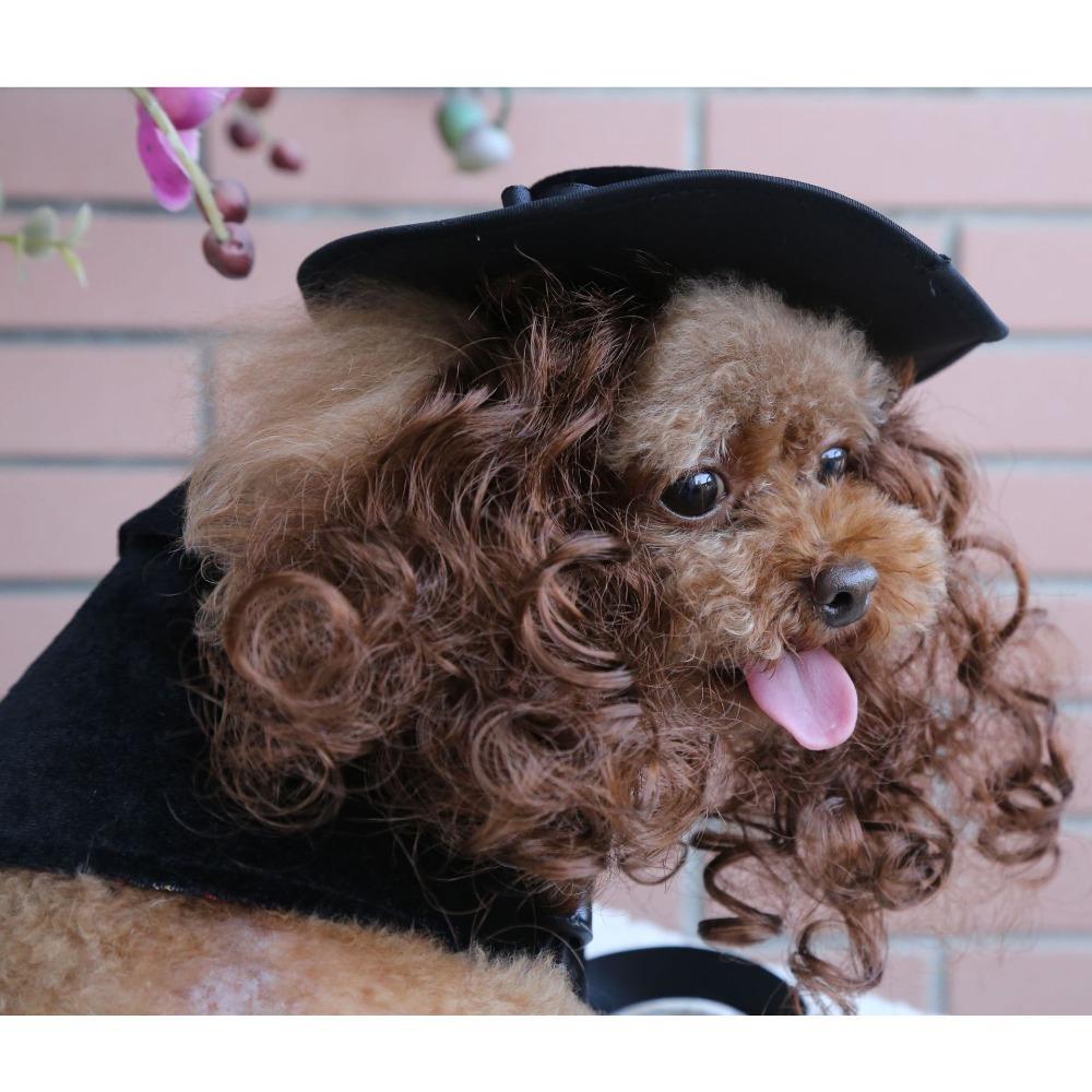 Dog clothes turned funny pet supplies cross-border hat cape set pet halloween costume