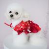 Pet Clothes Christmas Plush Dress Compared To Teddy Bear Autumn/Winter Five Flower Collar Tang Dress Wedding Cat Red Dress