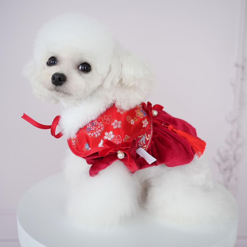 Pet Clothes Christmas Plush Dress Compared To Teddy Bear Autumn/Winter Five Flower Collar Tang Dress Wedding Cat Red Dress
