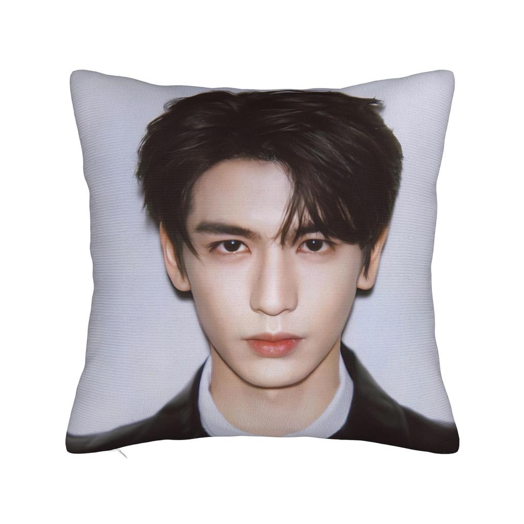 Zhang Linghe Pillowcases Kawaii Pillow Case For Living Room Sofa Custom Pillow Cover
