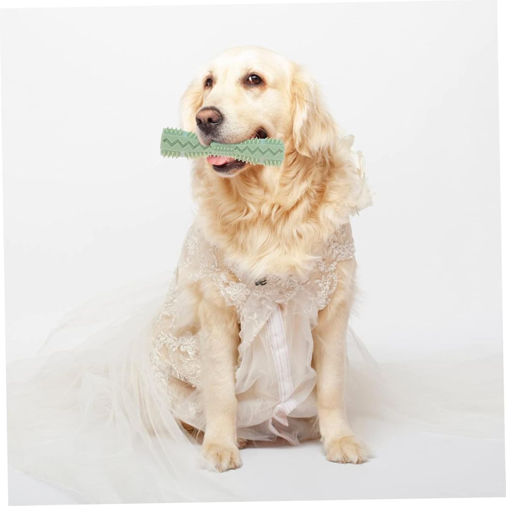 Haustier Zähneknirschen Trainingsstock Auslaufsicheres Spielzeug Zähneknirschen Reinigungsstock Verschleißfest Bissfest Leicht zu reinigendes Material Sicher Ungiftig Trainingsspielzeug