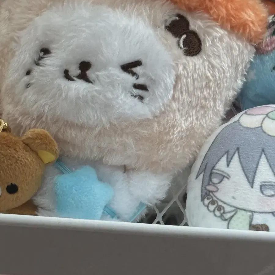 

Пузырь Ночь Желаний Юуши