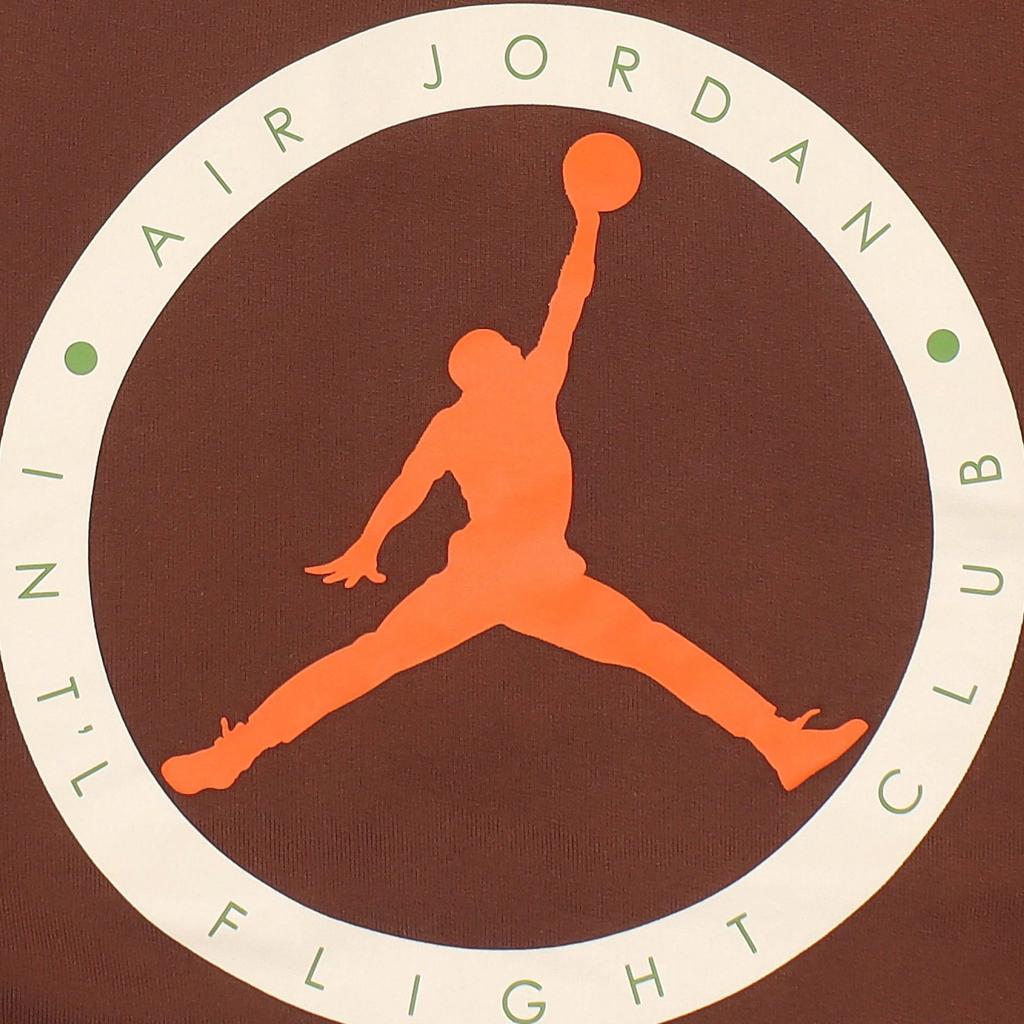 Jordan Sweatshirts Men's Brown Hooded Moderate DV7024-262