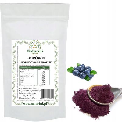 Freeze-dried Blueberries In Powder Delicious Naturini Doypack 100G