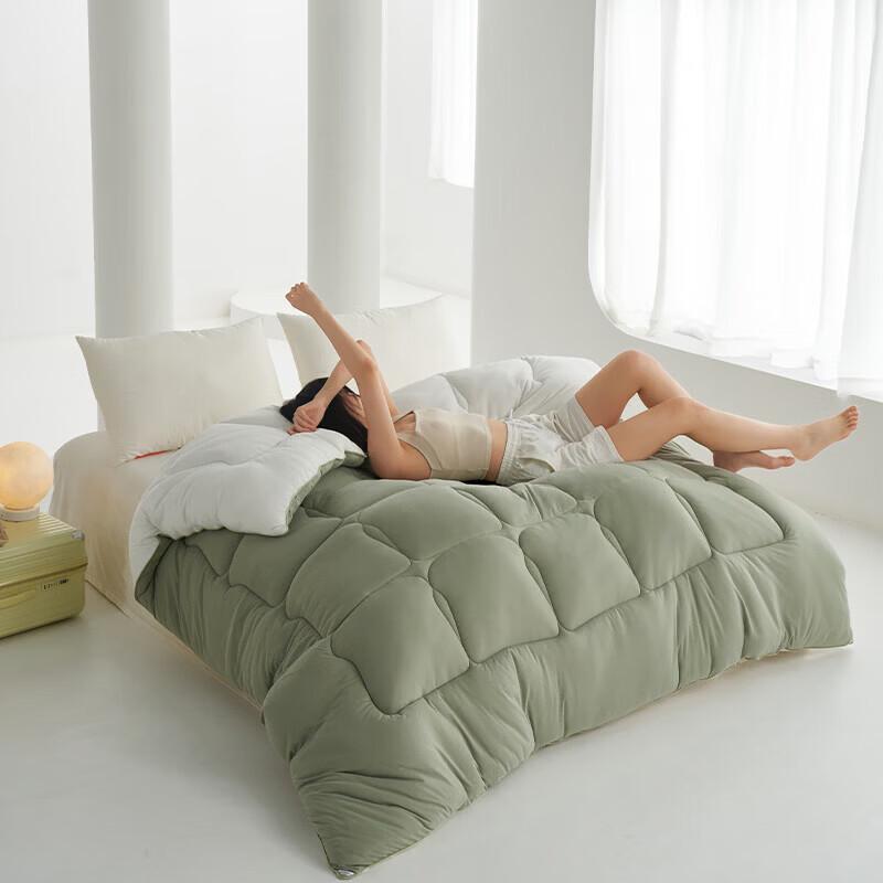 

Champion Bread Toast All-Season Comforter