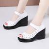 Soft-soled Wedge Heels for Women, New Style Platform Sandals with Open Toe, Perforated Shoes