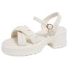 New Thick-soled Thick-heeled Female 2025 Summer Cool Shoelaces Fairy Wind Cross Wear One-button Roman Sandals Female