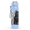 1PC Two Gray Kitten Cat Portrait Print 750ml Color Plastic Sports Water Bottle Leakproof Flip Straw Lid Suitable for Sports Office Home Use
