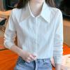 Spring 2025 European Long Sleeve Turn-Down Collar Blouse - Versatile, Fashionable, Korean Style Top