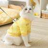 Autumn and Winter Cat Pineapple Fleece Pocket Bear Two-legged Fleece Jacket Thickened and Warm Winter Clothes Medium and Small Dog Pet Clothes