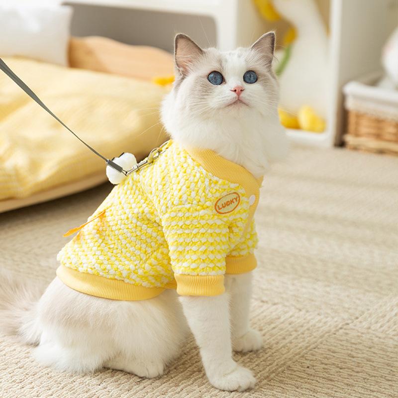 Autumn and Winter Cat Pineapple Fleece Pocket Bear Two-legged Fleece Jacket Thickened and Warm Winter Clothes Medium and Small Dog Pet Clothes