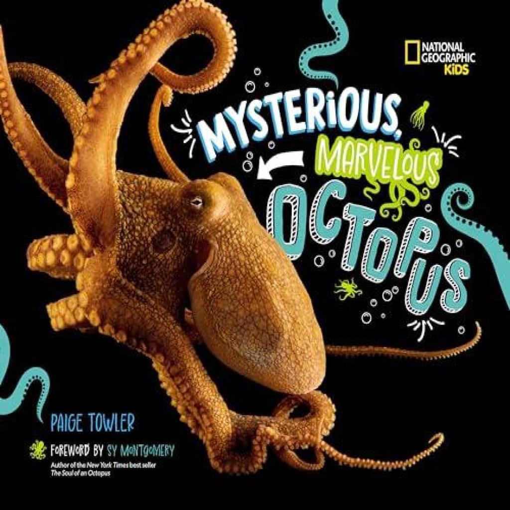 Mysterious Marvelous Octopus by Paige Towler Hardback Book 9781426376672