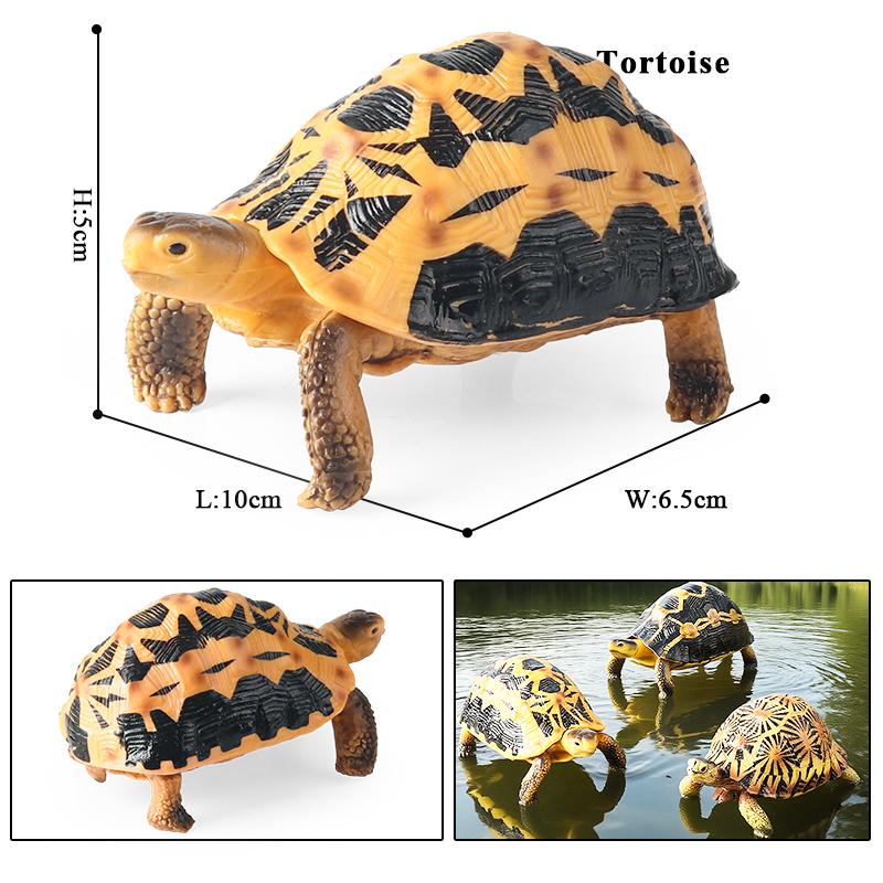 Oenux Sea Life Animals Model Leatherback Tortoise Turtle Growth Cycle Ocean Figurines Action Figures PVC Collection Kid Toy Gift