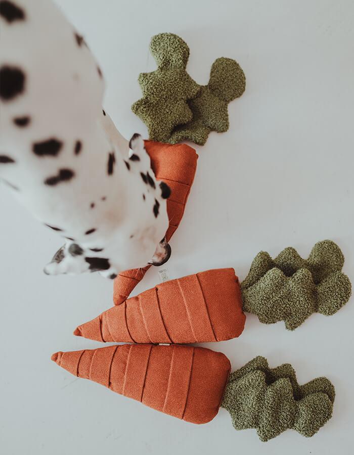 Carrot Sniffing/Activation Toy For Dogs