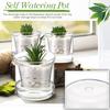 Self Watering Planter 4 Inch Clear Glass Indoor Pot with Reservoir   Drainage Holes 2 Pack