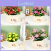 Foam Rose Plant Pot With Creative Design For Home Decor And Tabletop Display