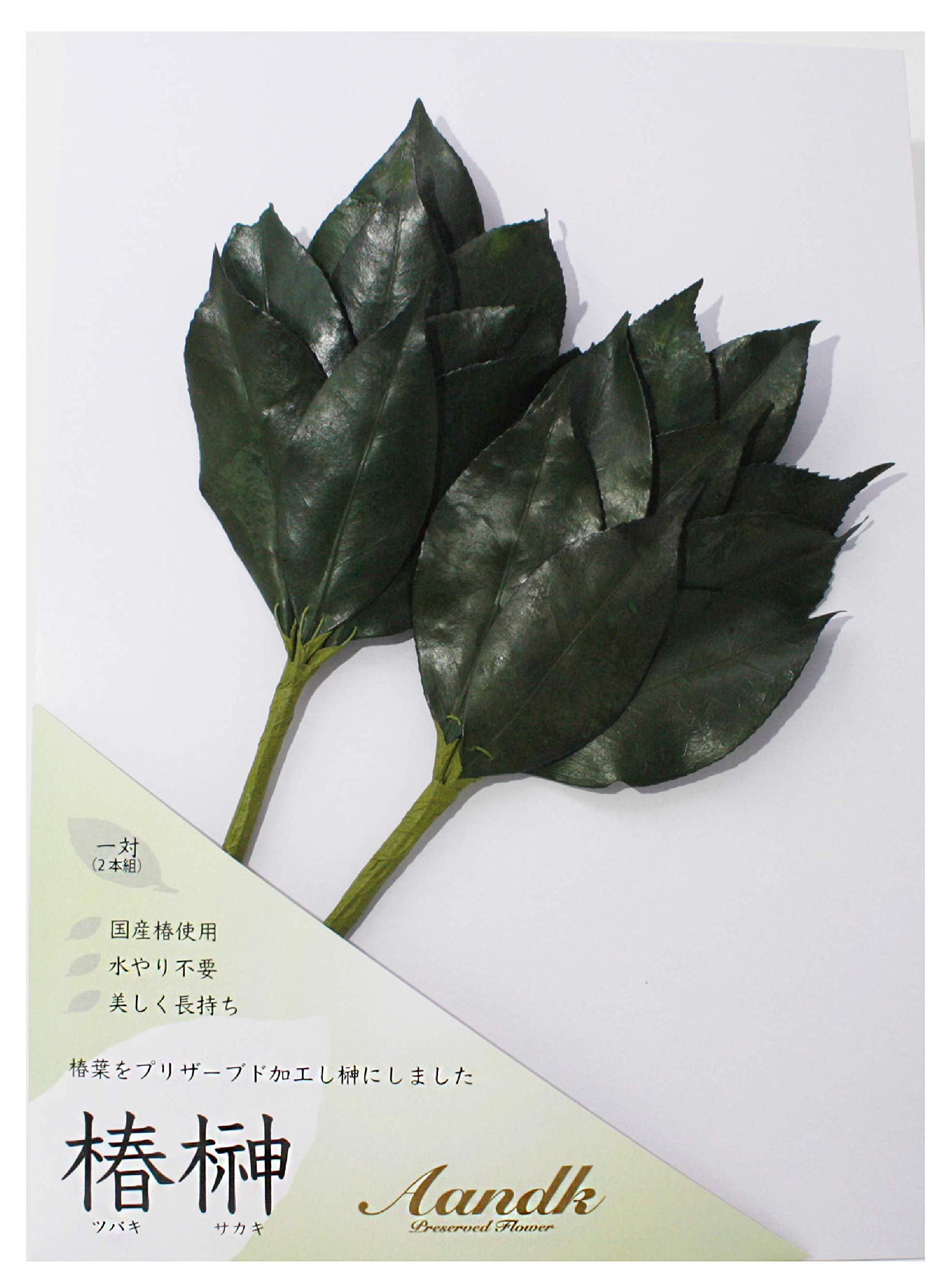 

[A&K] Affordable Sakaki Trees (S), Made in Japan with Natural Sakaki Trees and Camellia Leaves. Heat-resistant, rot-resistant, no replacement